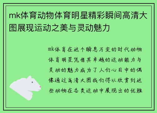 mk体育动物体育明星精彩瞬间高清大图展现运动之美与灵动魅力
